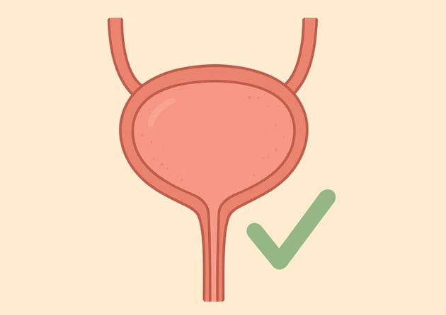 bladder-graphic-1024x726