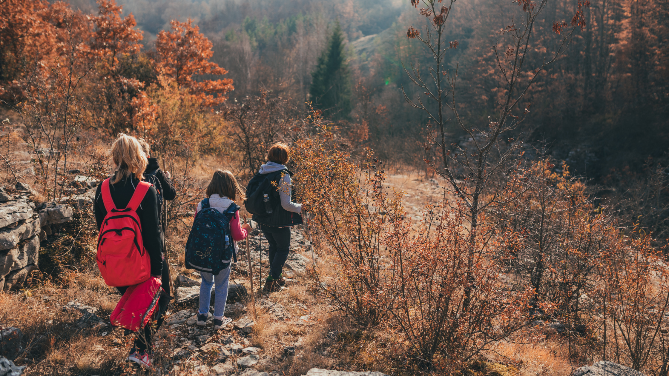 A group of people hiking in the fall foliage.