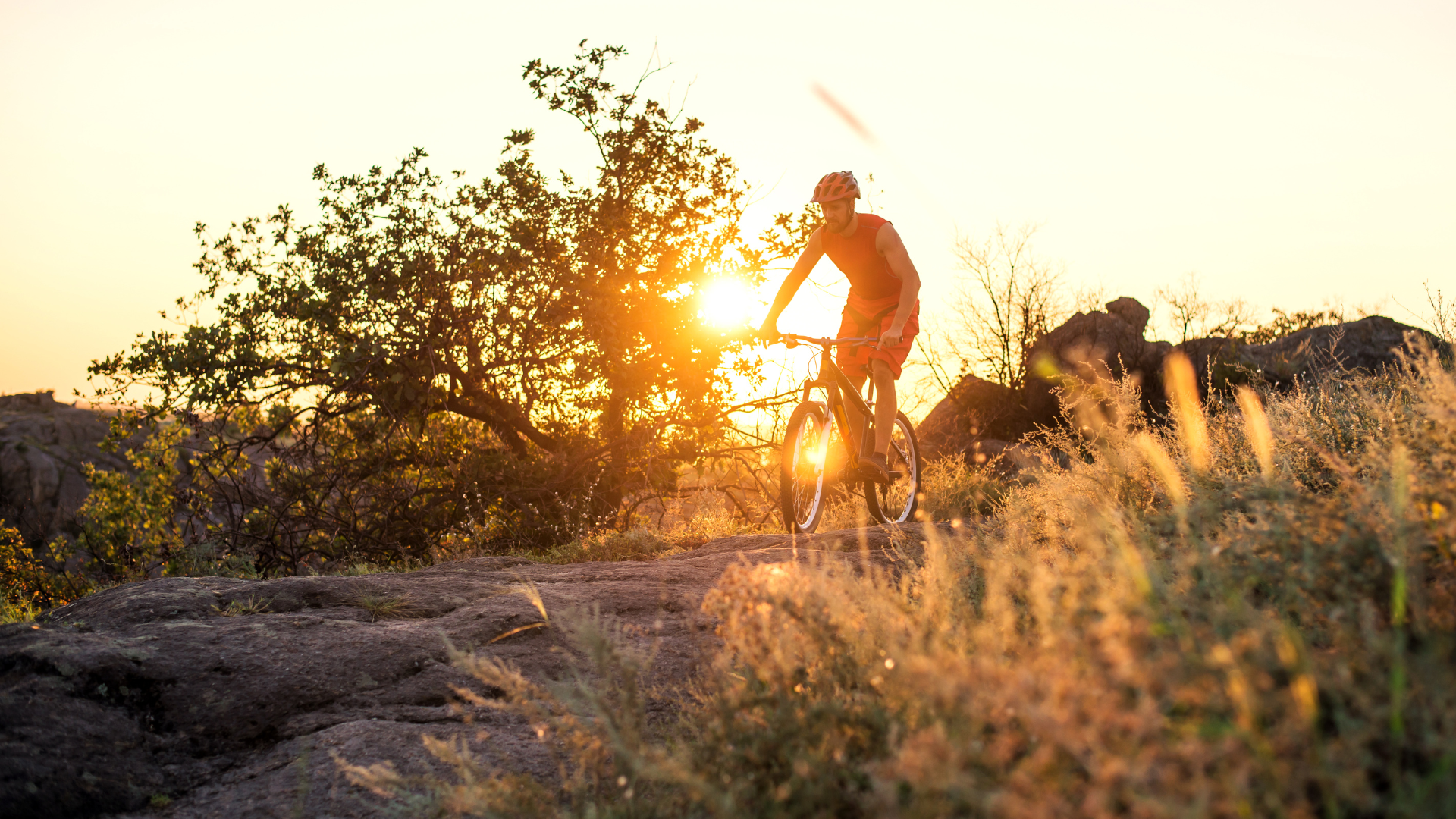 Man mountain biking at sunset