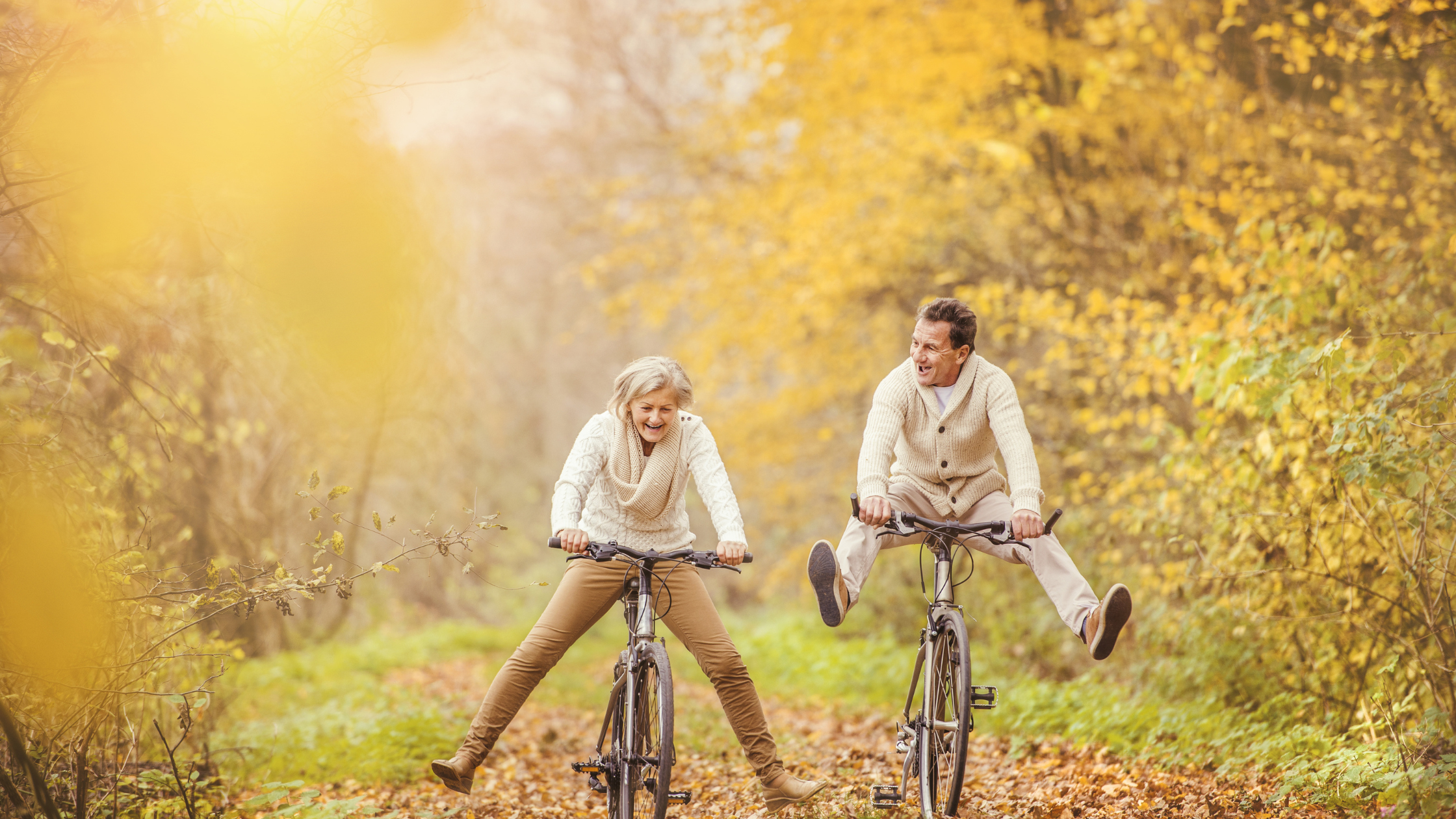 Adults riding bikes in the forest.